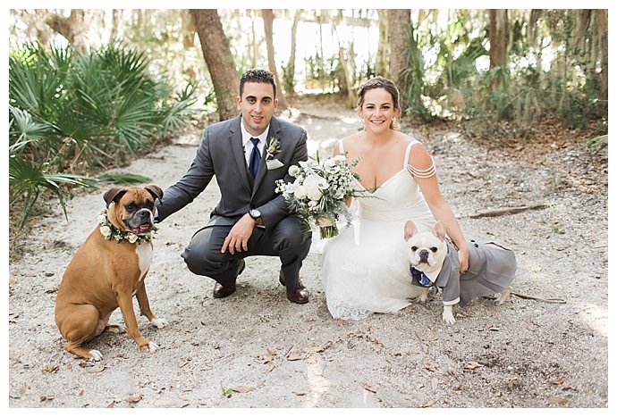 dogs in weddings