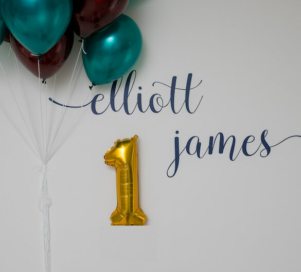 First Birthday Party Ideas and Inspiration