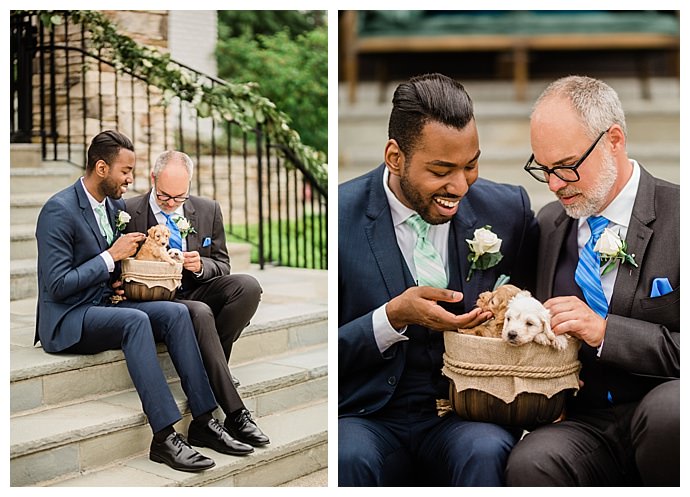 gay wedding with puppies