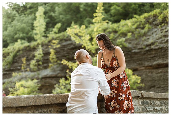 letchworth state park proposal