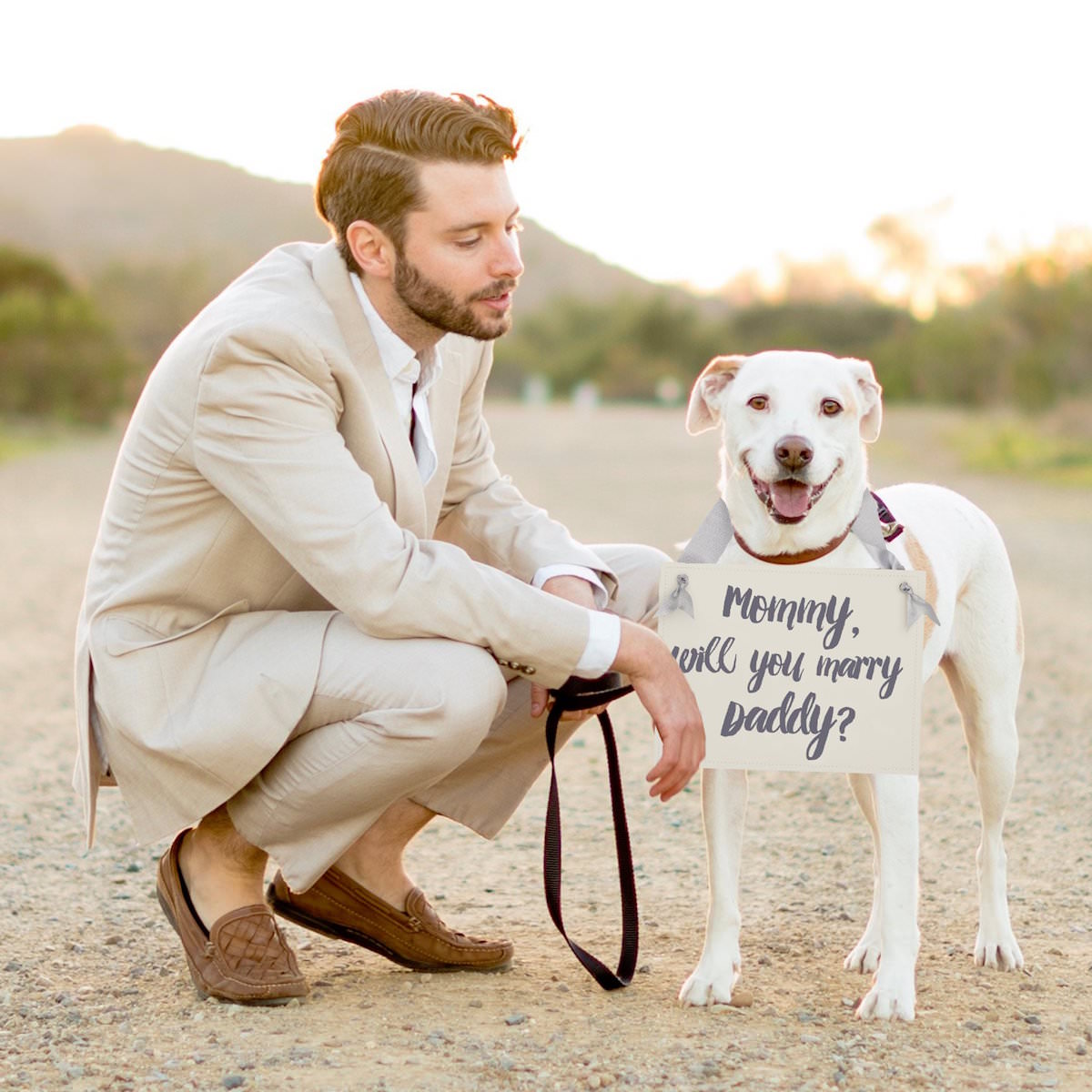 dog proposal bandana