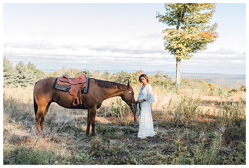 Horses in Weddings