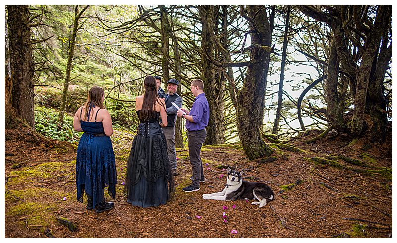 forest-elopement-1