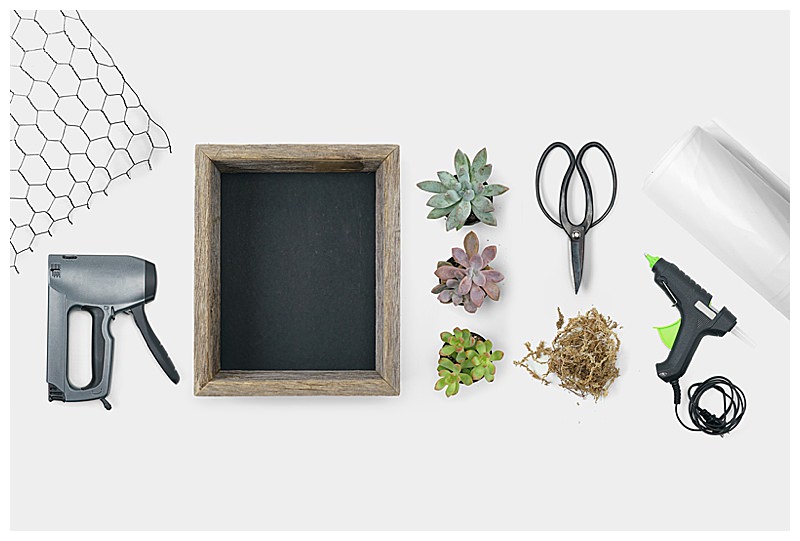 DIY Succulent Wall Materials