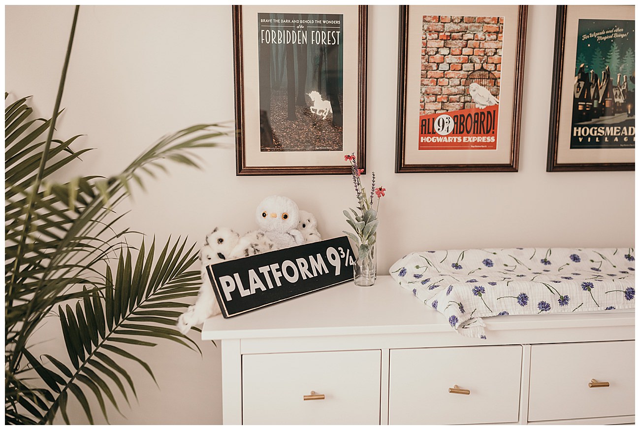 Harry Potter-Themed Nursery