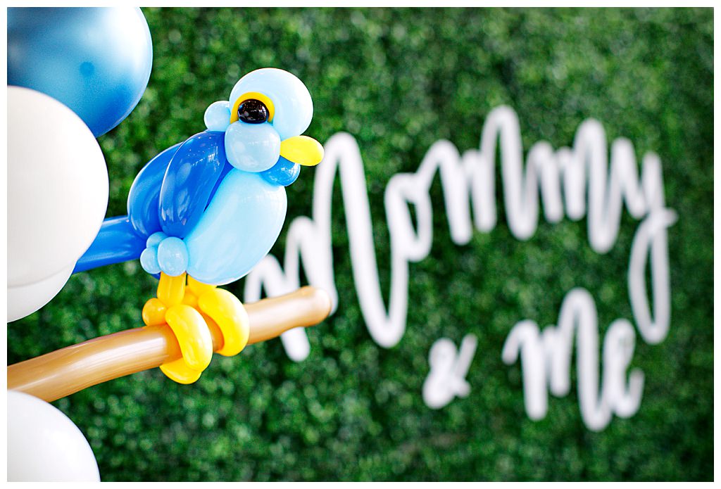 Balloon Artistry Bird Themed