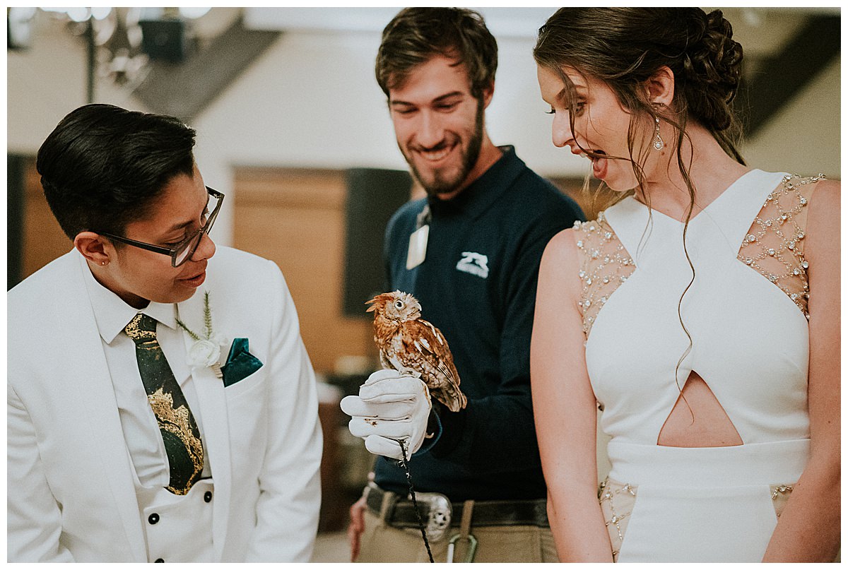 animal-petting-at-wedding-reception