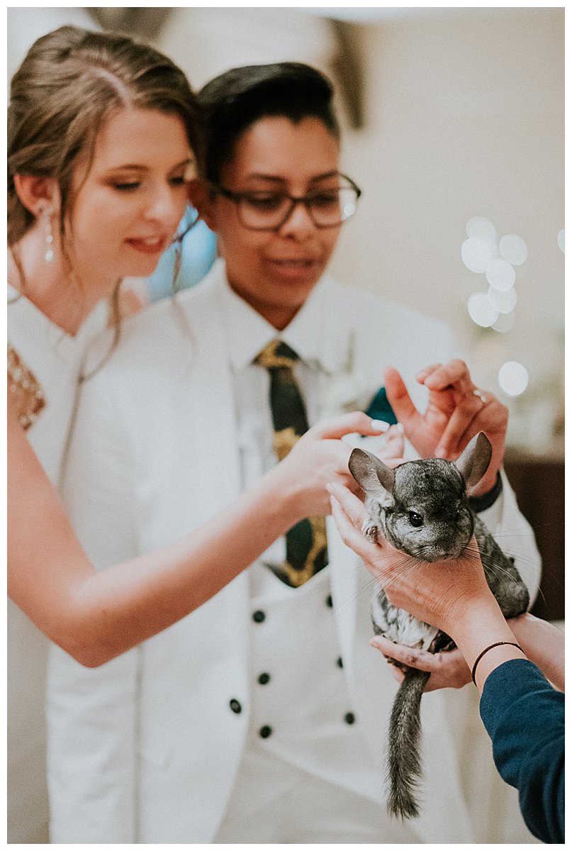 animal-petting-at-wedding