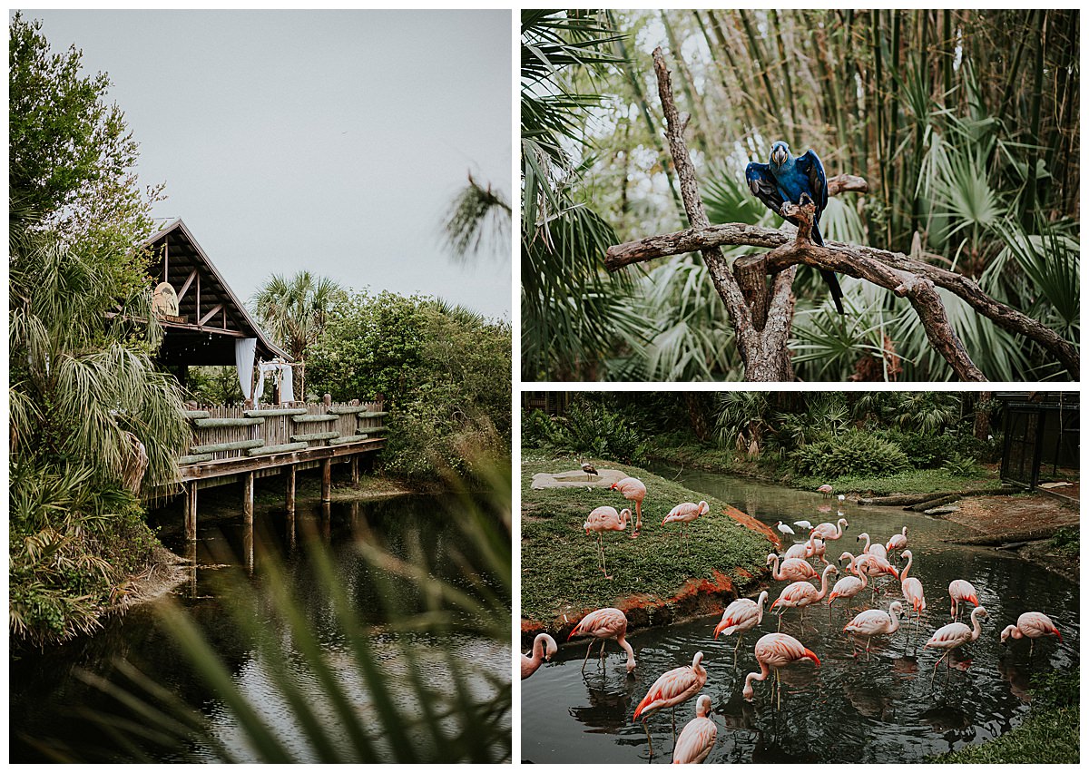 brevard-zoo-florida-wedding