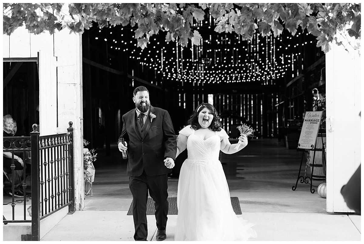 bride-and-groom-reception-entrance