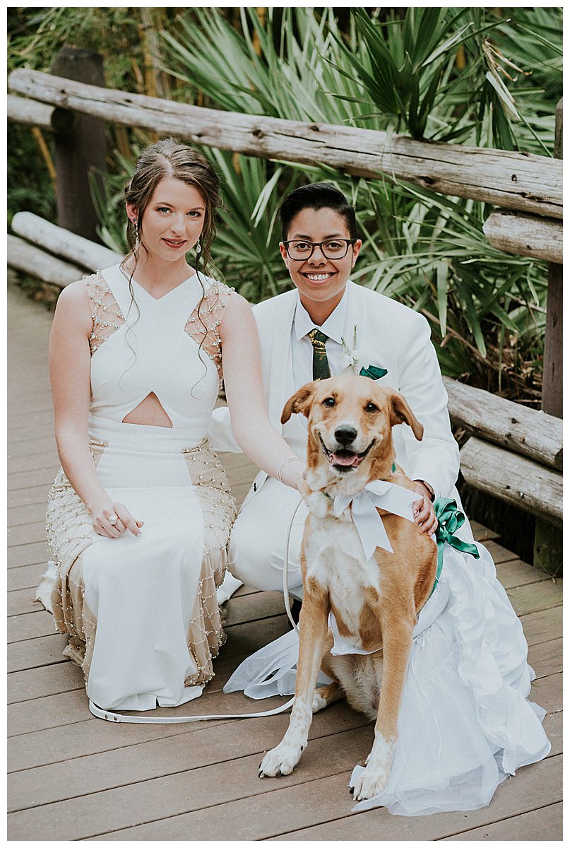 brides-and-their-dog