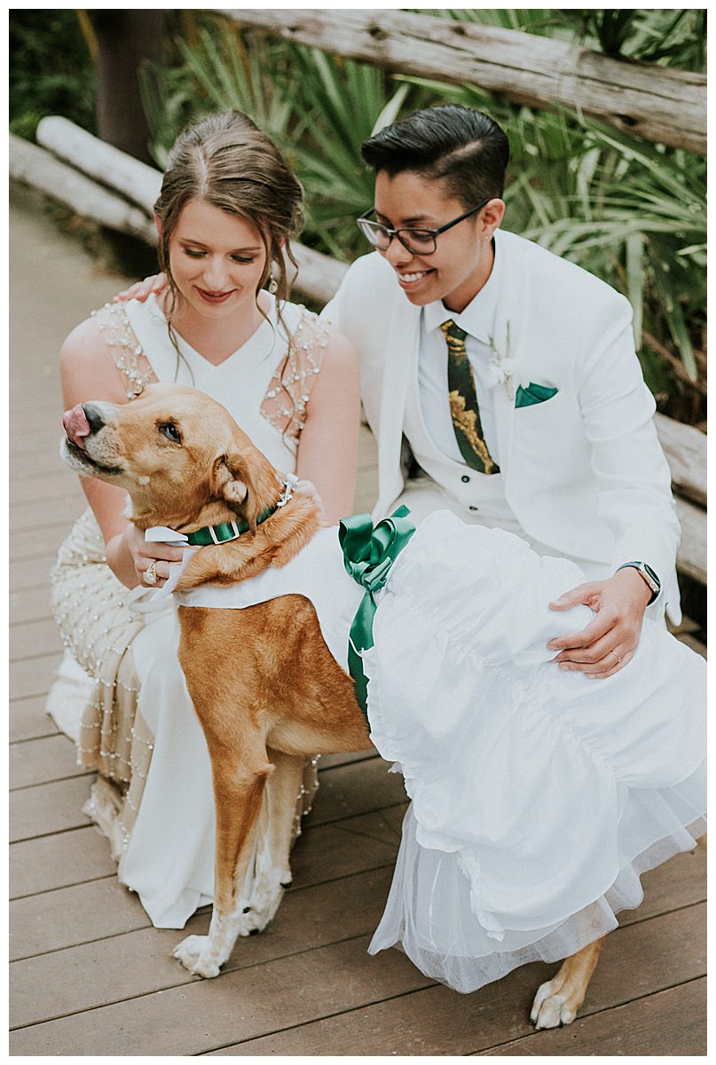 brides-with-their-dog