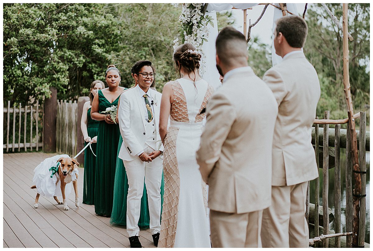 dogs-in-wedding