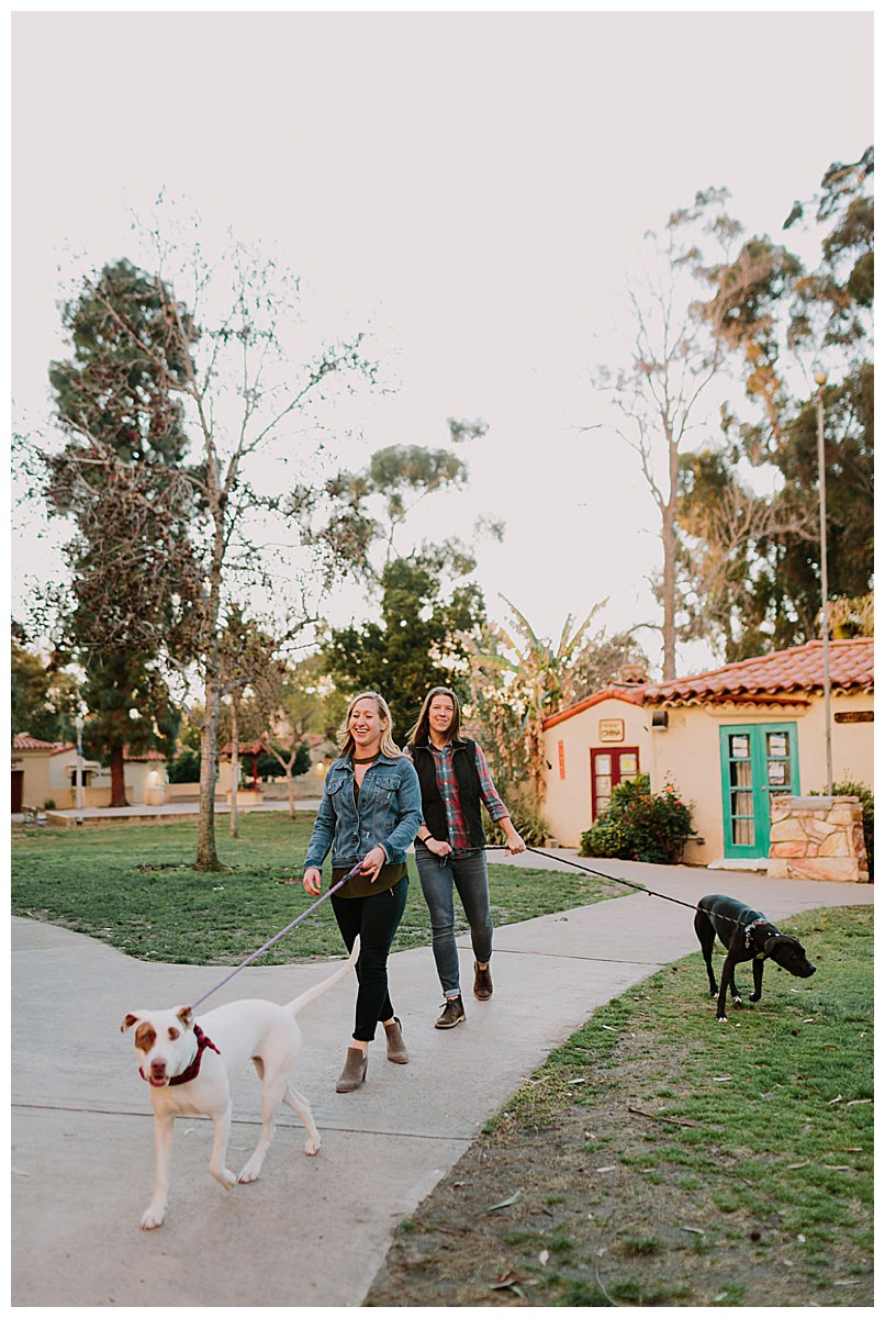 engagement-shoot-with-dogs