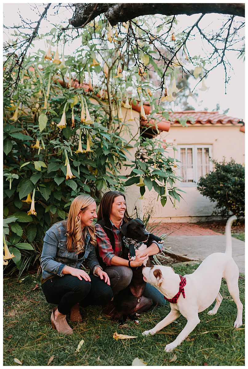 engagement-shoot-with-pets