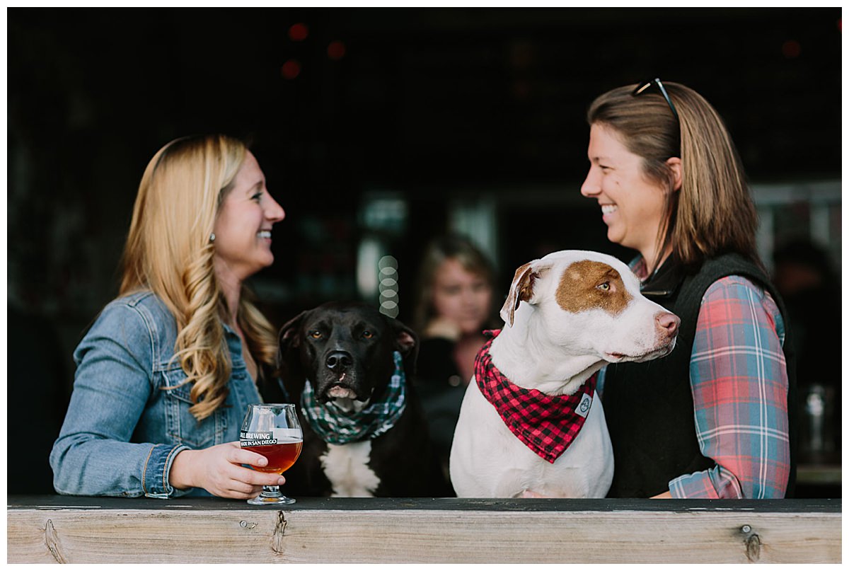 fall-brewing-brewery-engagement-shoot