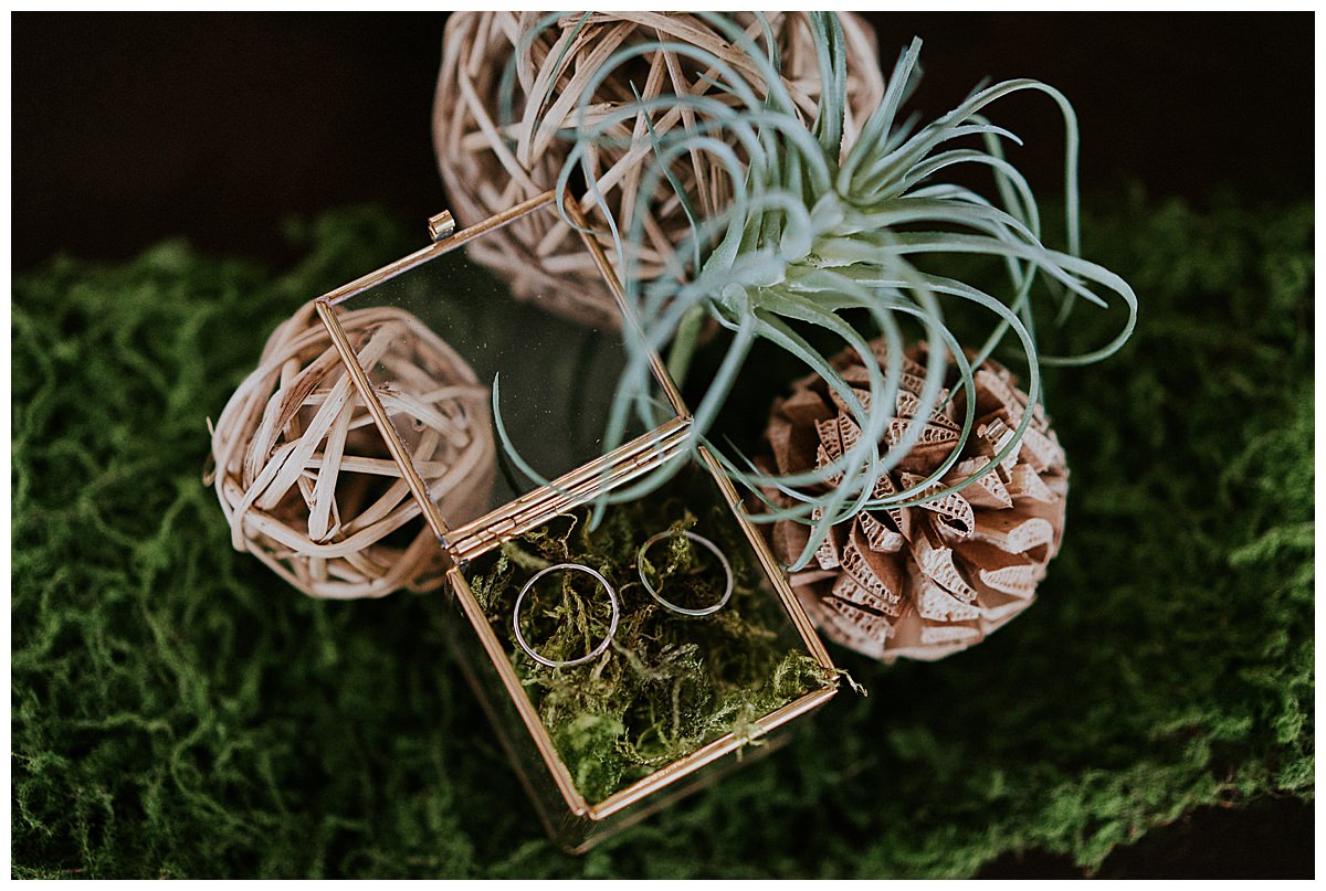 moss-and-succulent-ring-shot