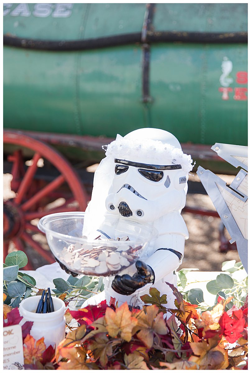 star-wars-wedding-decor