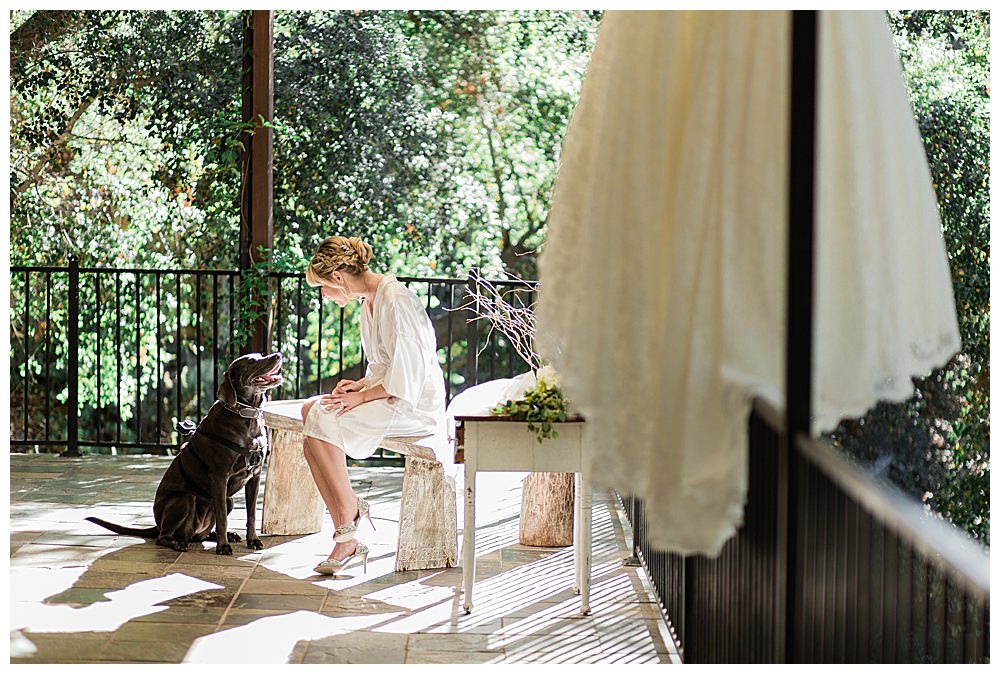 bride-and-her-dog-wedding-photography