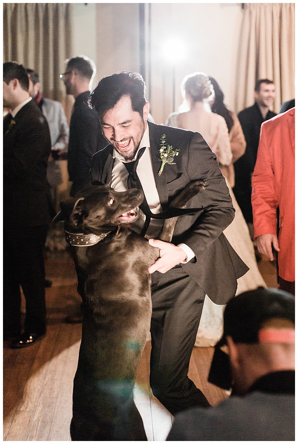 dogs-at-weddings