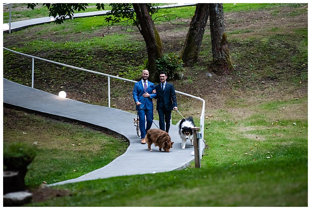 grooms-processional-with-pets