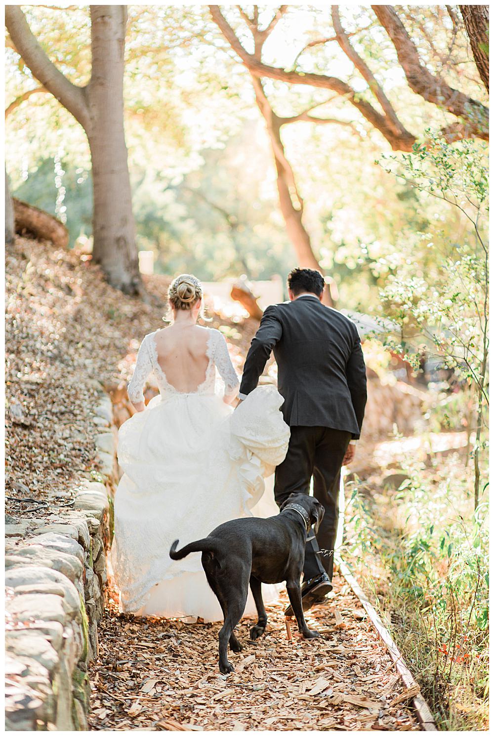 wedding-day-photography-with-pets