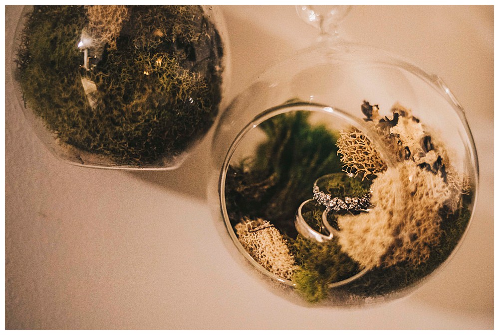 wedding-ring-shot-in-a-terranium