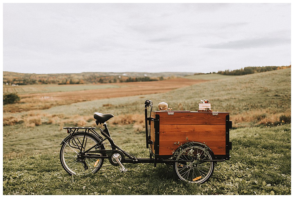 bicycle-cart-wedding-cake-stand