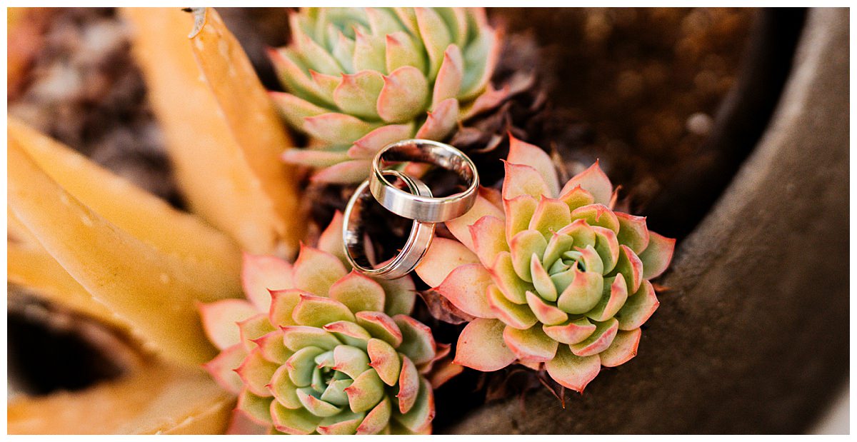 succulent-ring-shot