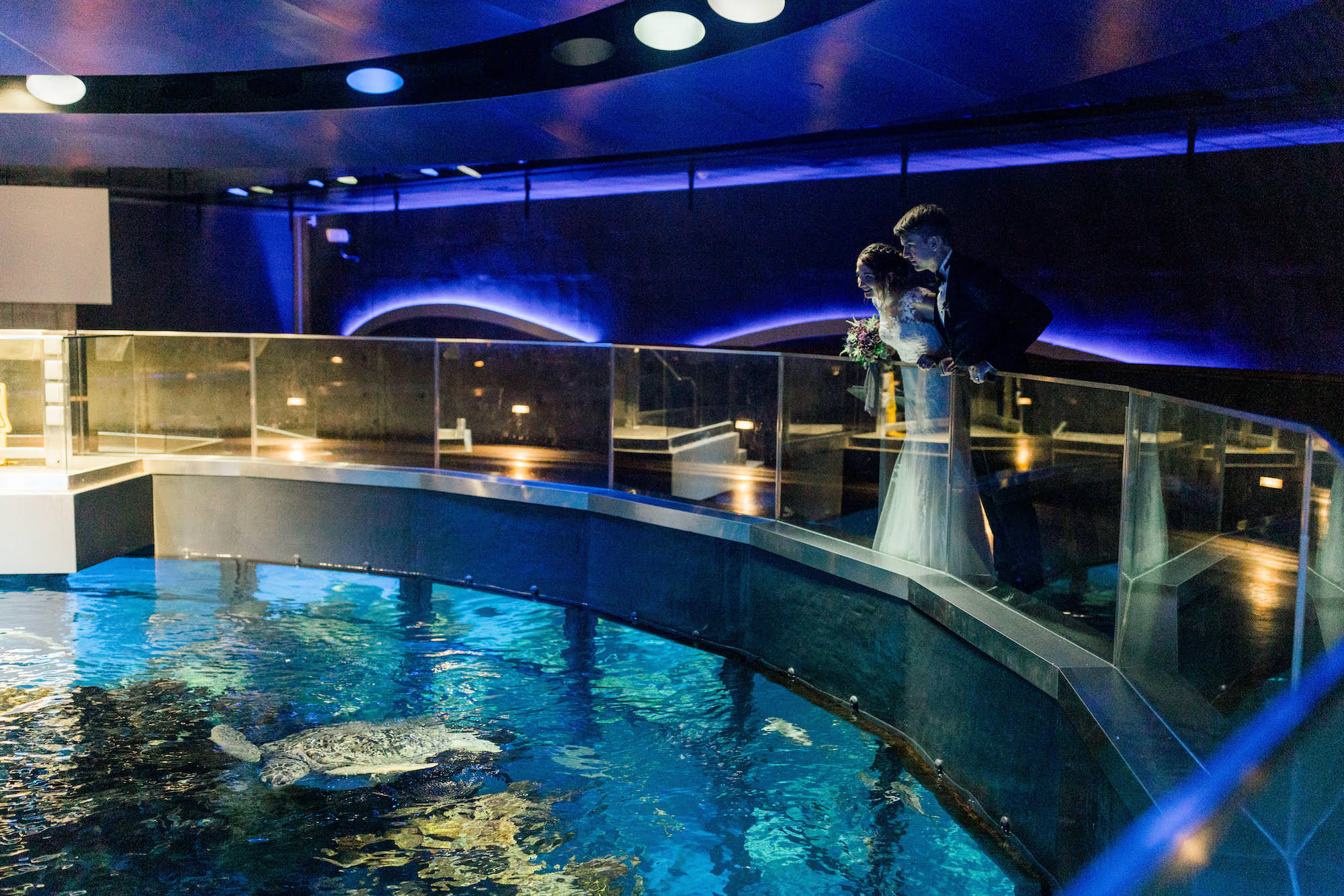 aquarium-wedding-venue