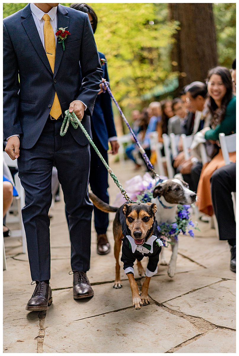 View More: https://justinkhophotography.pass.us/tiffjonwedding