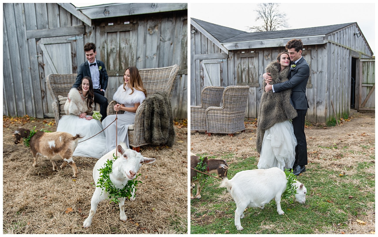 wedding-wreaths-for-farm-animals