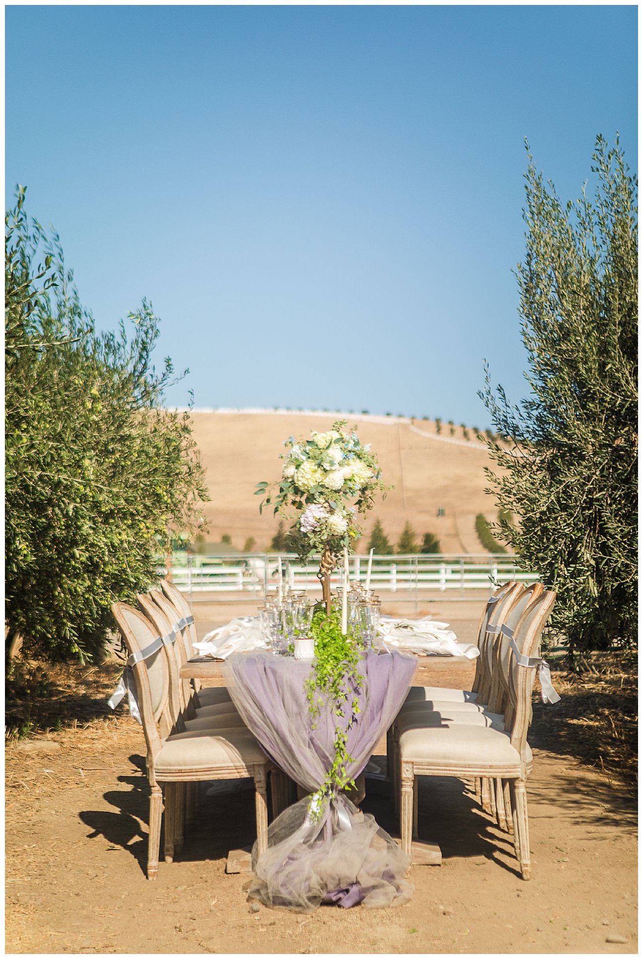 Lavender Glen Styled Shoot