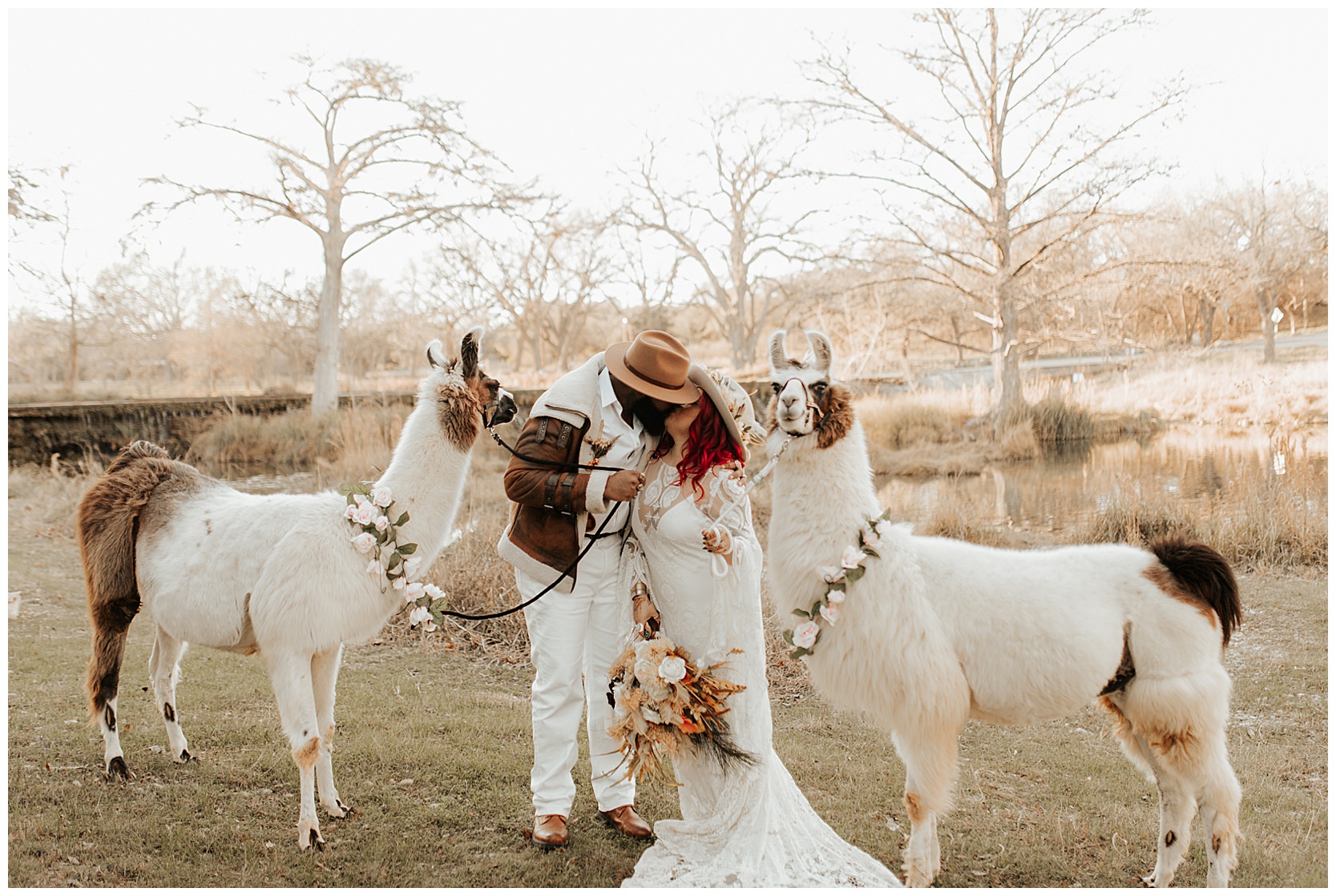 bride-and-groom-with-llamas