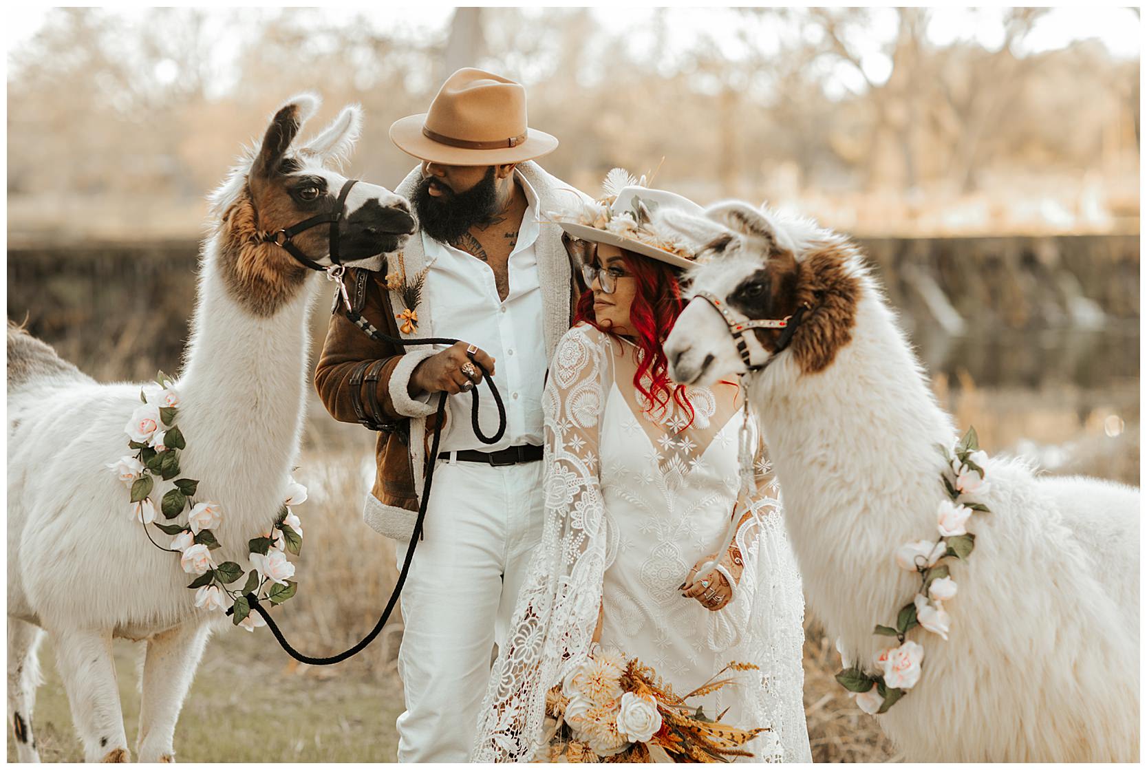 llamas-at-wedding