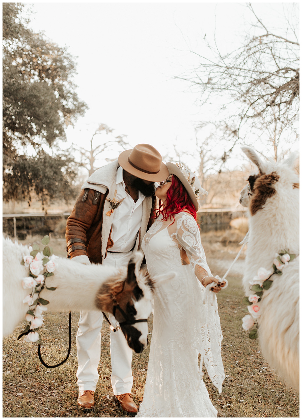 wedding-animals-llama