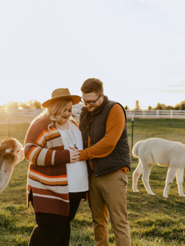 Alpaca Farm Expecting Shoot