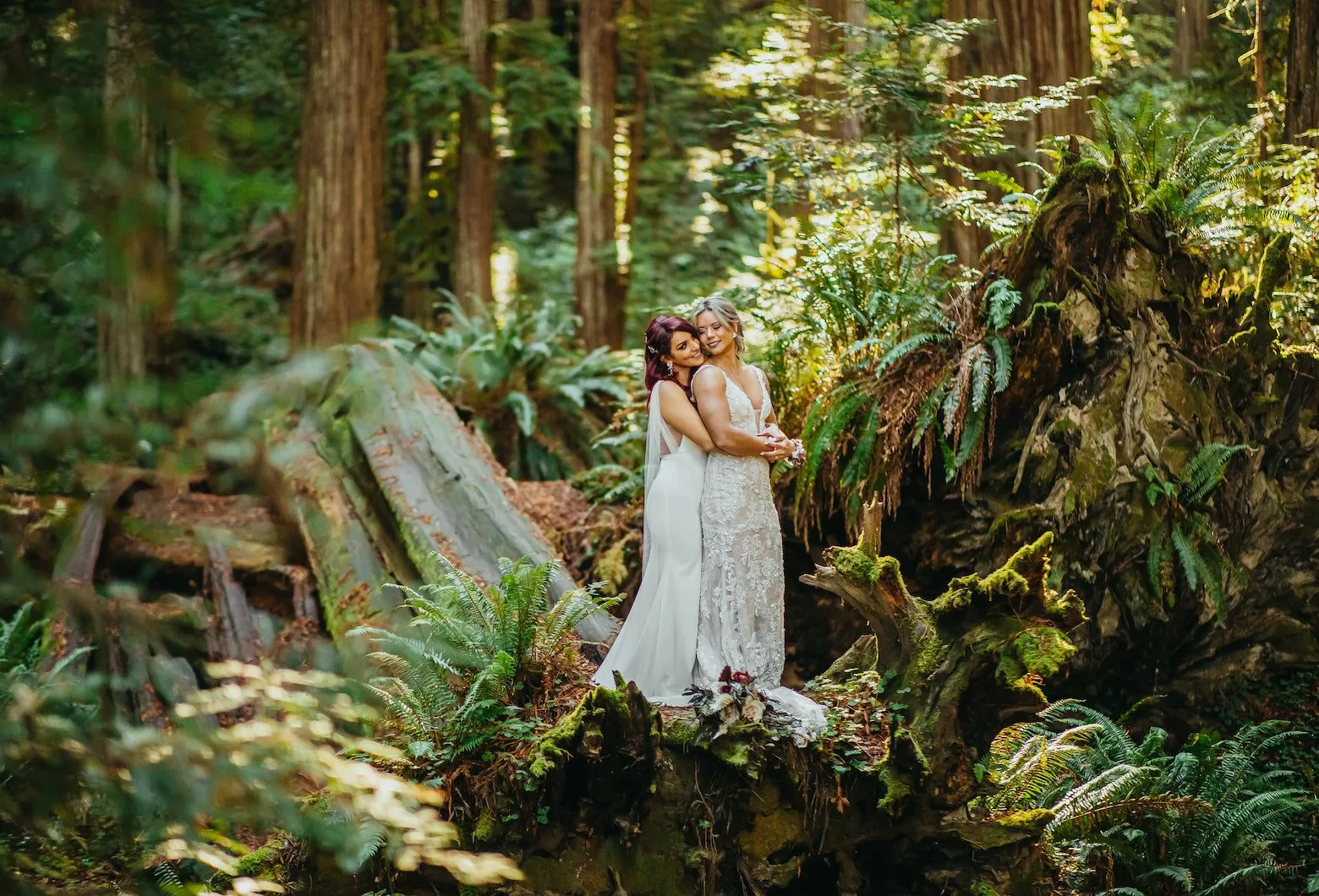 Romantic Elopement Amongst California’s Redwoods