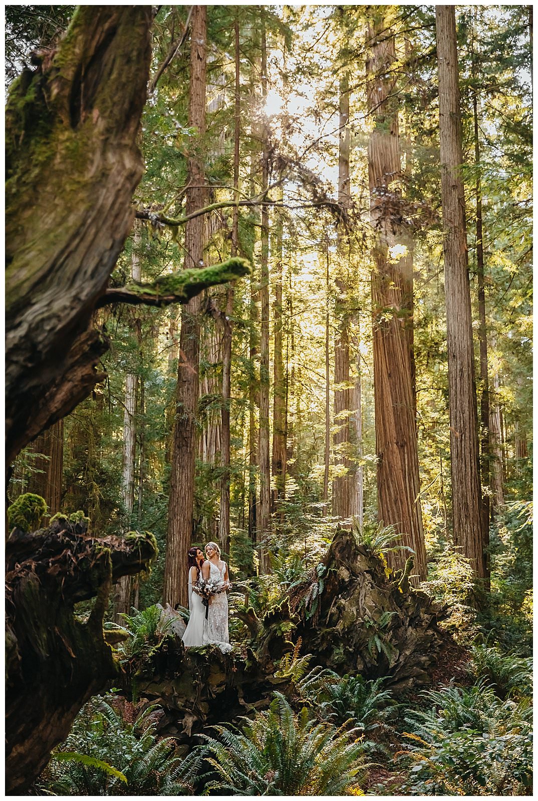 Dana + Shannon's Elopement