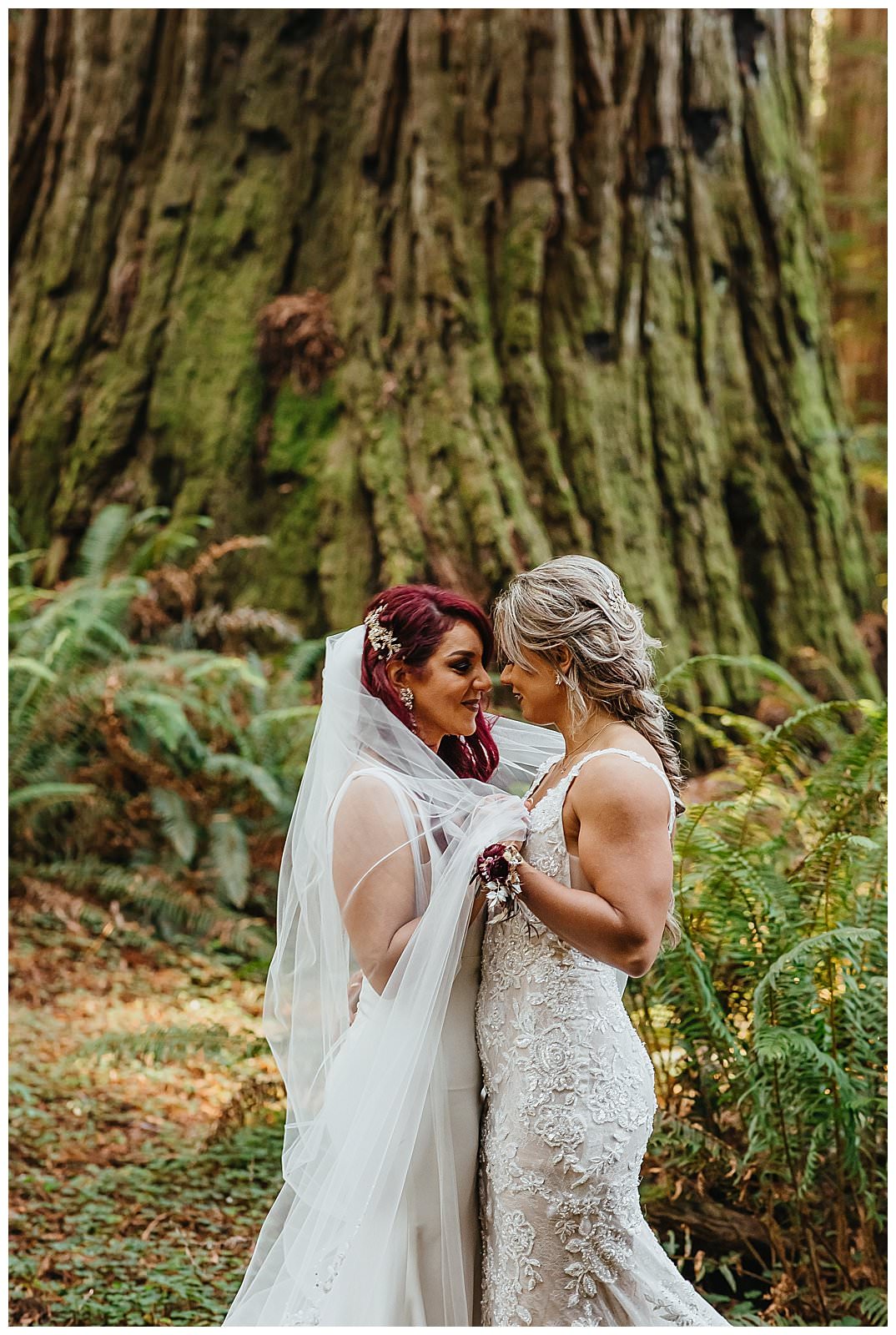 Dana + Shannon's Elopement