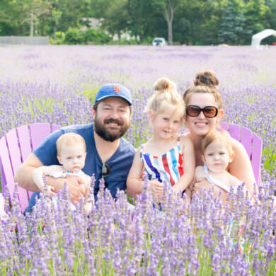Lavender by the Bay Family Photos