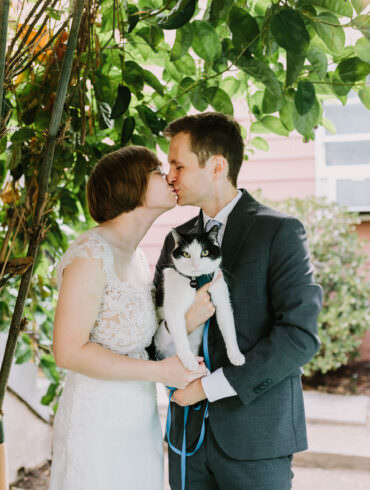 Covid Wedding Elopement with a Cat