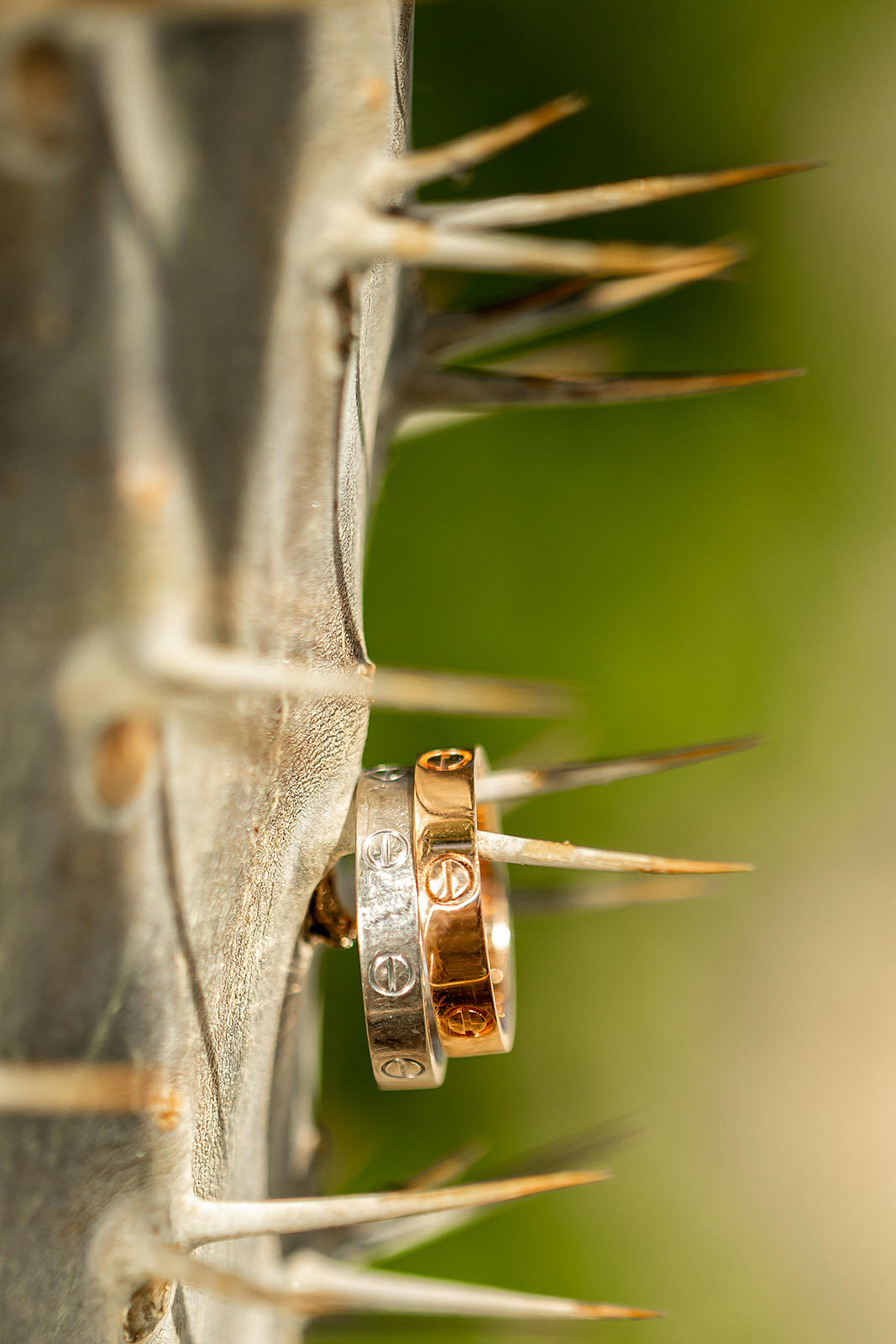 Nontraditional wedding bands
