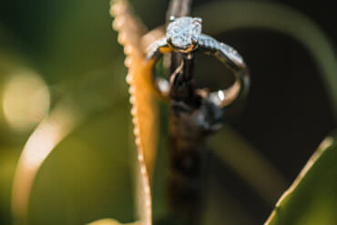 Round Cut Engagement Ring with Diamonds
