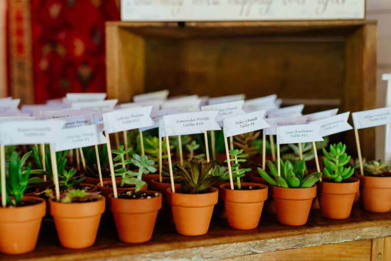 Eco Friendly Wedding Favors
