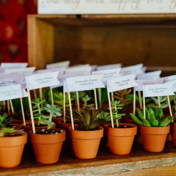 Eco Friendly Wedding Favors