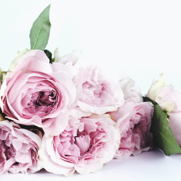 Best Wedding Flowers 2023