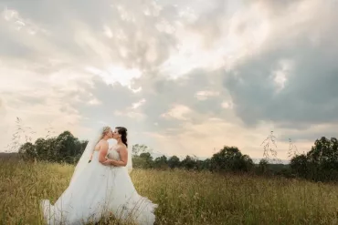 Virginia Wedding Photographer 3 Cats Photo