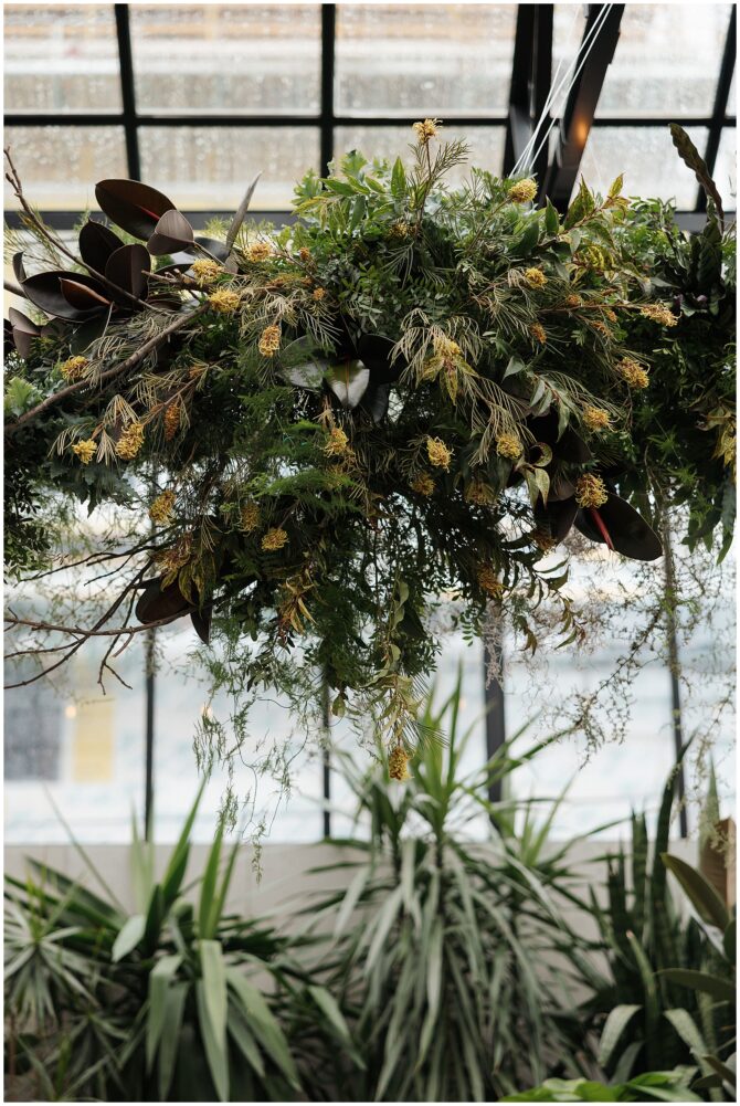 Hanging greenery arrangement in a greenhouse