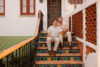 How to Tell If A Wedding Vendor Is Legit